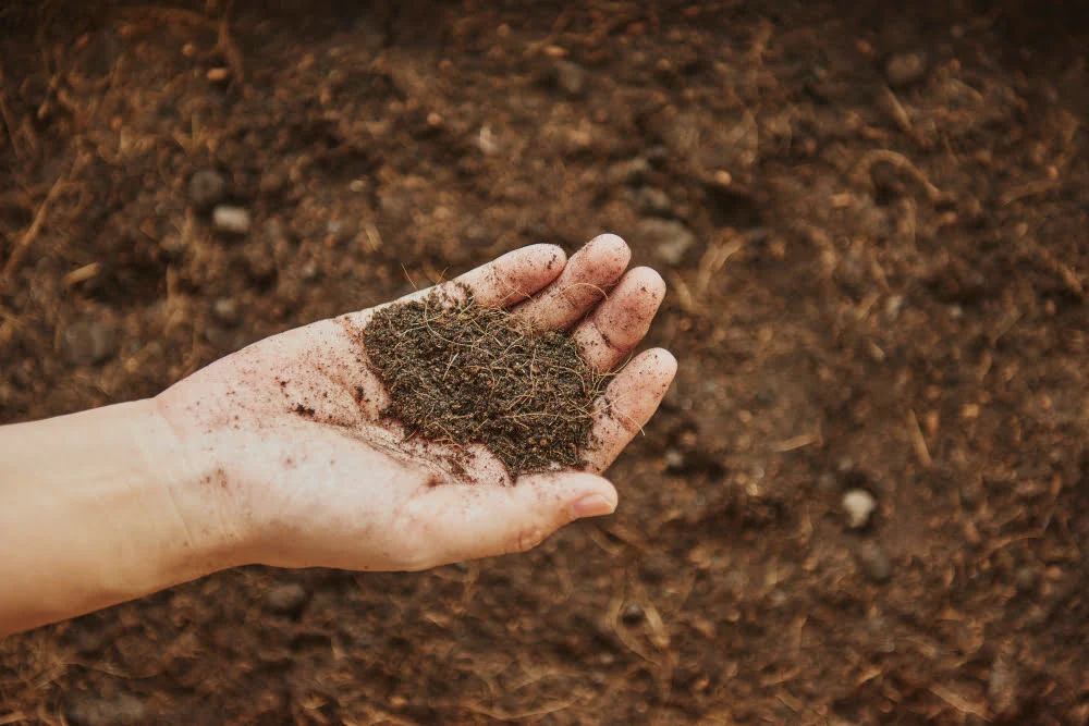 Fertilization & Soil Conditioning