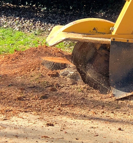 Stump-Grinding with machine
