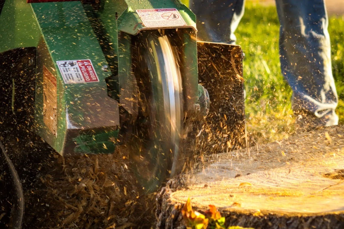 Basics of Stump Grinding