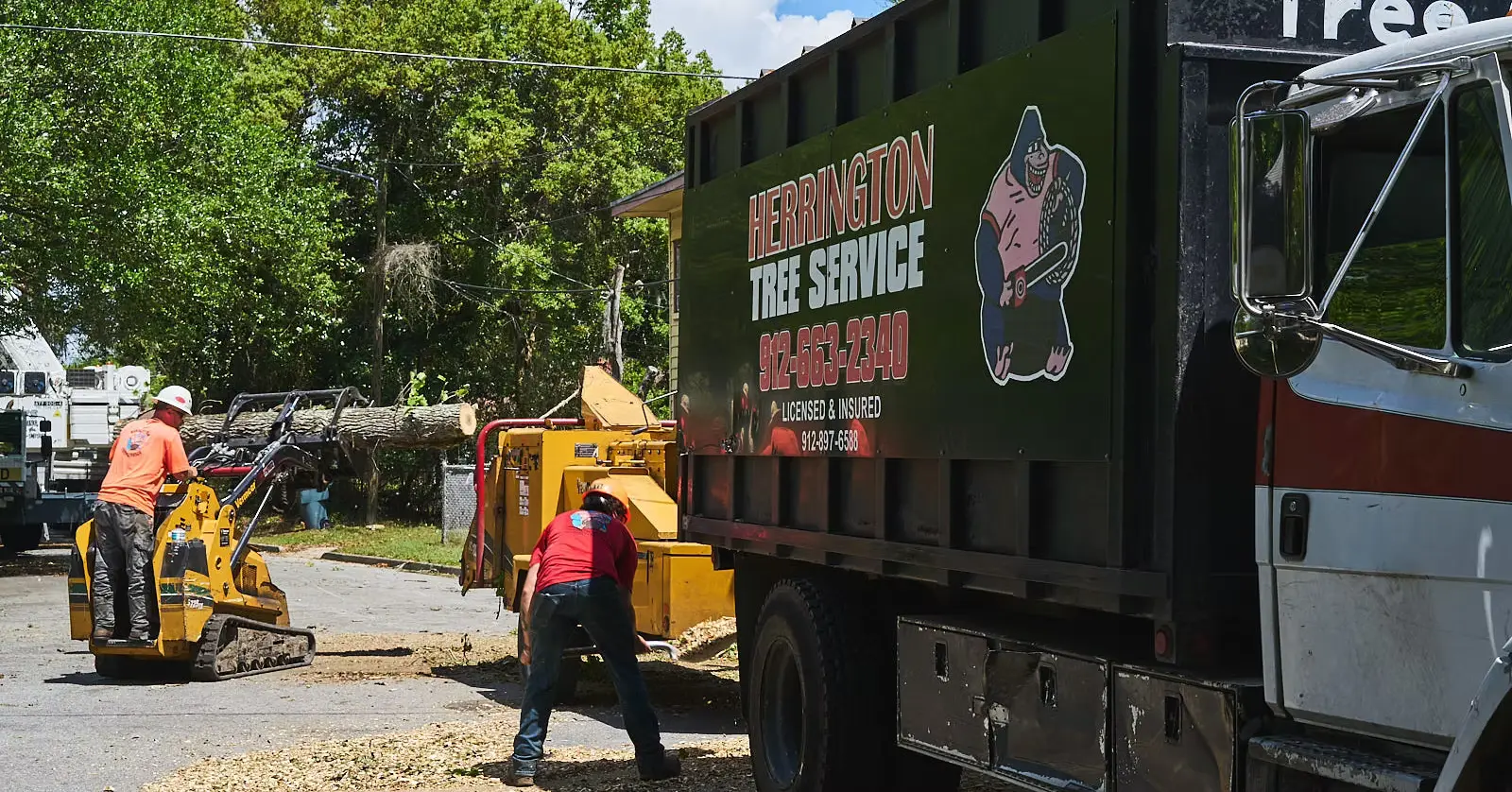 workers working at tree removal