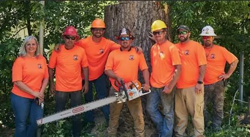 Herrington Tree services