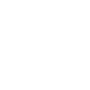dead branch