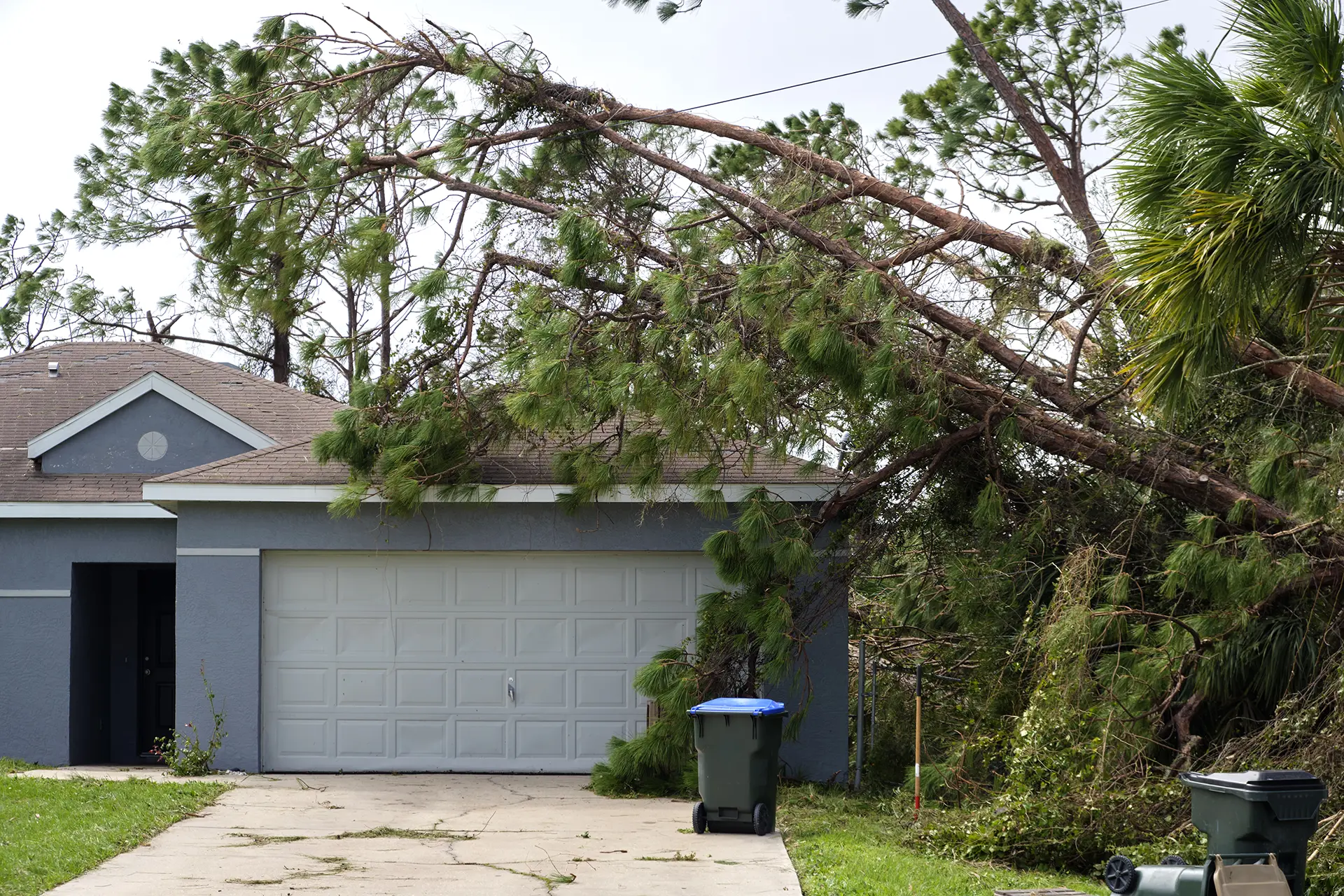 fallen-down-big-tree-on-a-house-after-hurricane