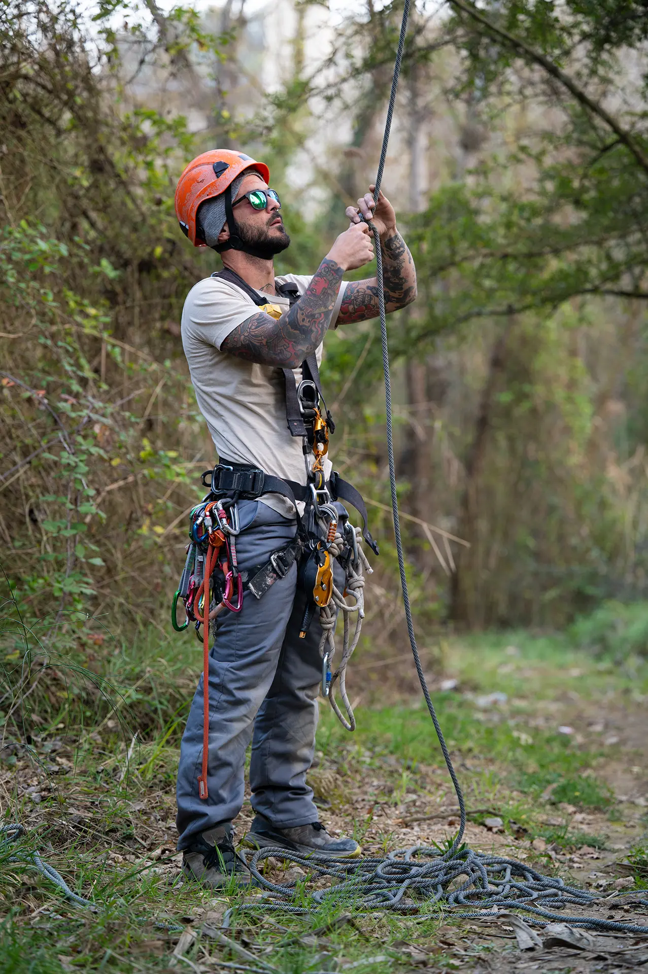 tree-climber-wearing-safety-gear-and-preparing-rope