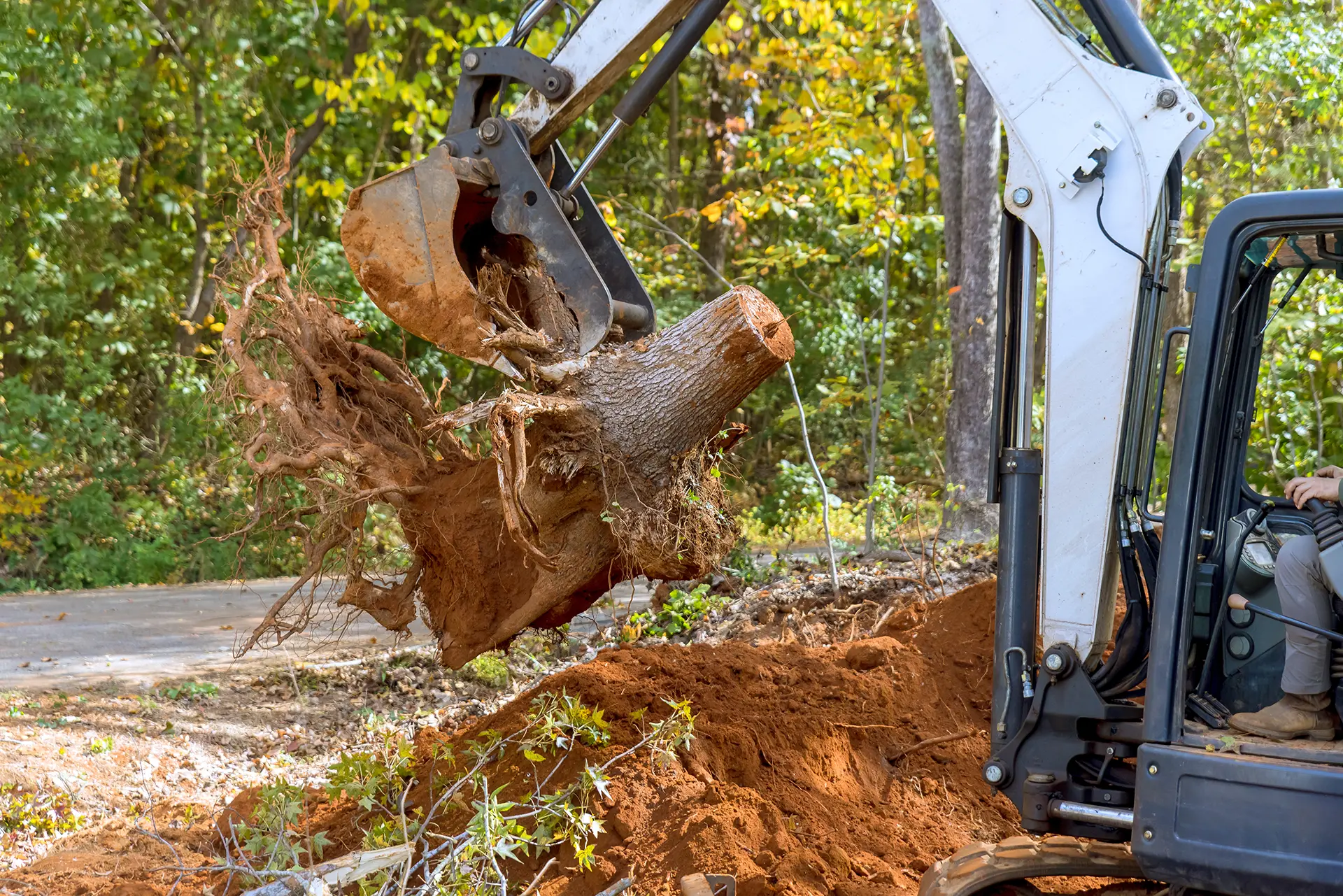 utilizing-skid-steer-tractor-to-remove-a-roots